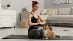 Věděli jste, proč kočky přitahuje pach lidského potu?