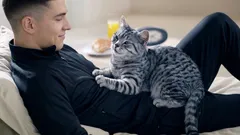 9 signálů, že vám kočka důvěřuje a bere vás jako svého člověka