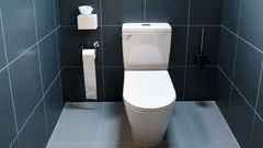 Zavírejte víko toalety pokaždé: nečekané důvody, o kterých málokdo ví