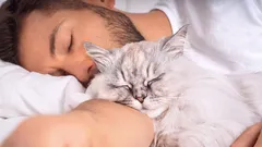 Jak si kočka v rodině vybírá svého pána?